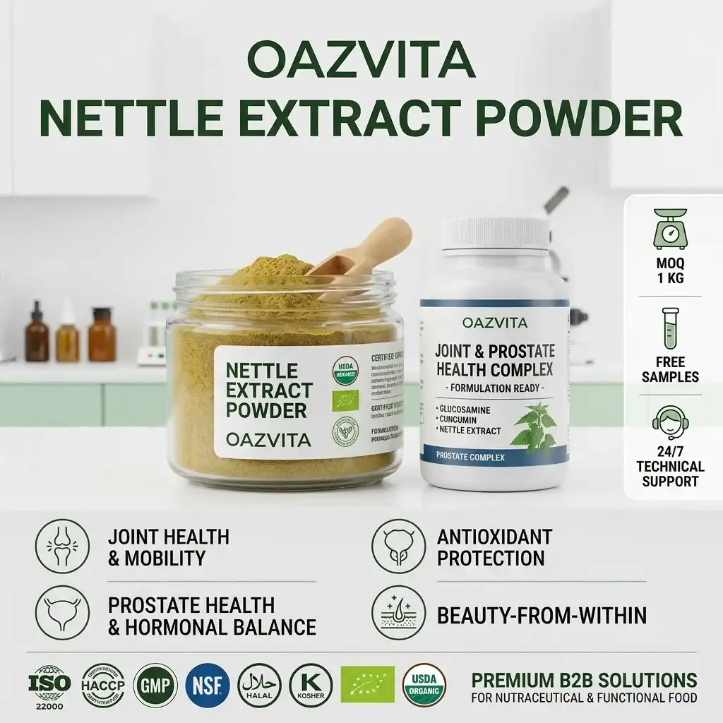 Everything You Need to Know About Nettle: Benefits, Uses, and Natural Habitat Everything You Need to Know About Nettle: Benefits, Uses, and Natural Habitat